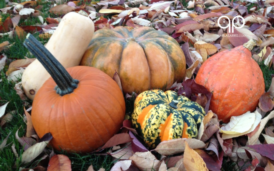 Fall Squash
