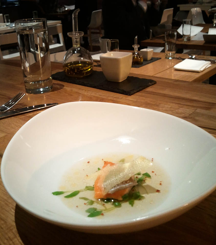 Senza Review: Salmon