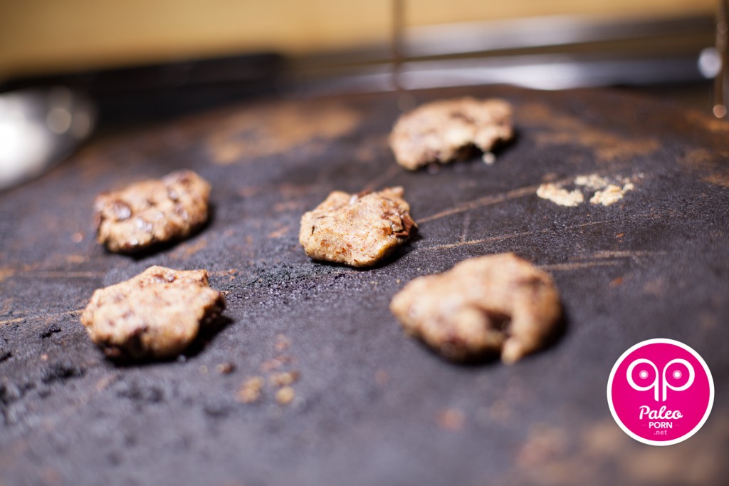 Paleo Cookies Chocolate Chip Egg Free
