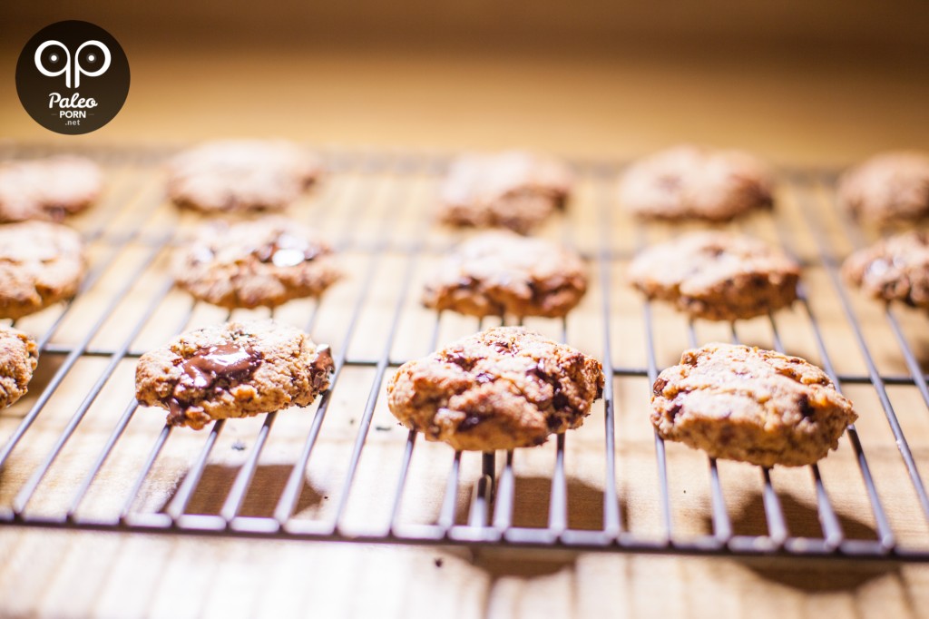 Paleo Cookies Chocolate Chip Egg Free