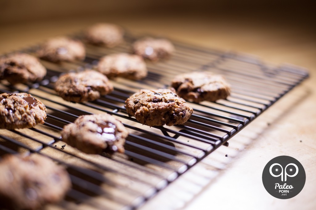 Paleo Cookies Chocolate Chip Egg Free