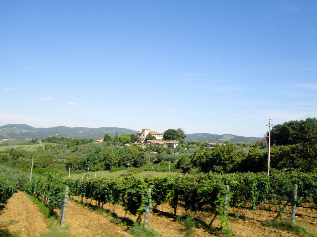 Organic Tuscany Italy