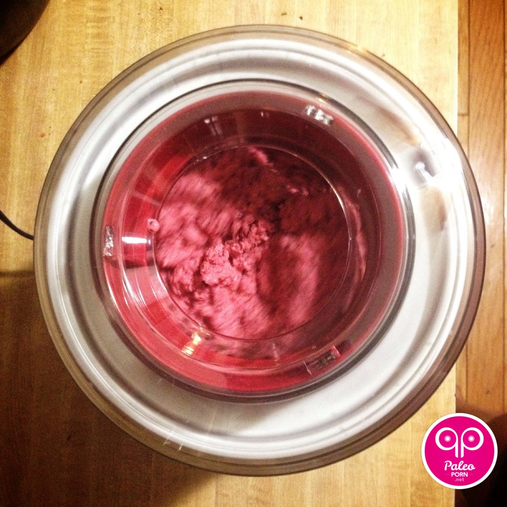 Paleo Ice Cream Maker