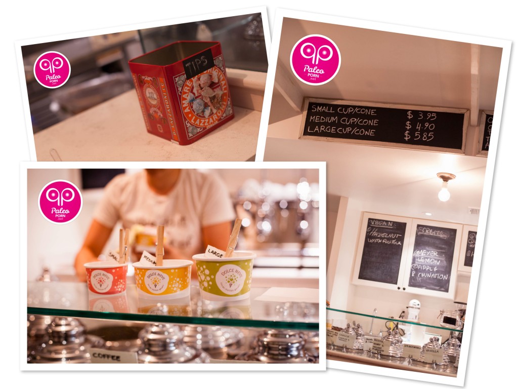 Dolce Neve Gelato Cups