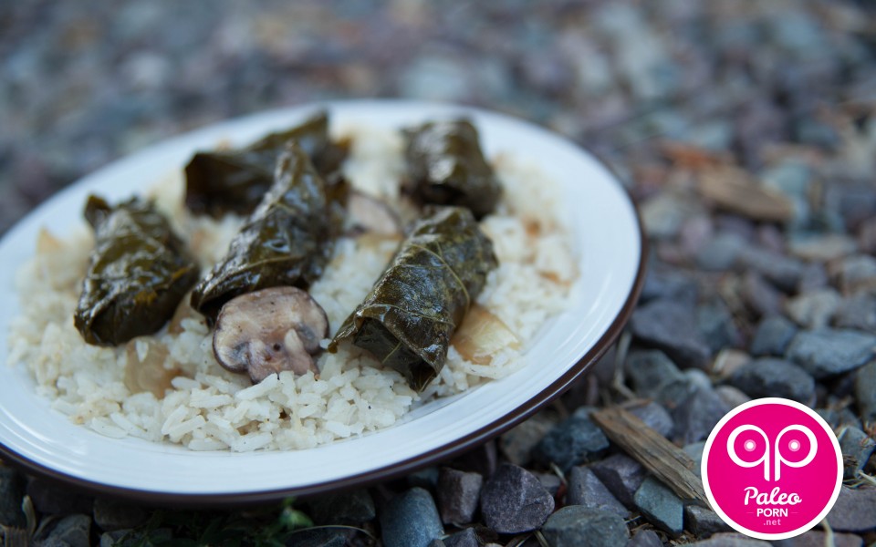 Paleo Recipes Ground Beef Paleo Dolmas