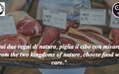 Dai Due Paleo Porn Review