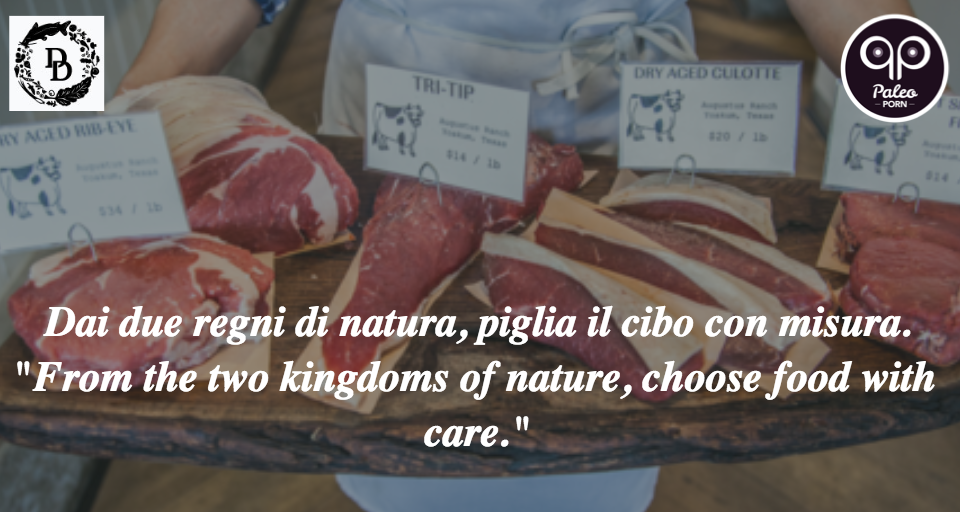 Dai Due Paleo Porn Review